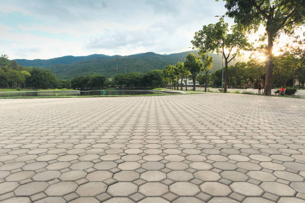 Best Best Driveway Pavers  in Pecos, TX